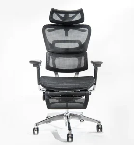 COFO Chair Premiumの写真